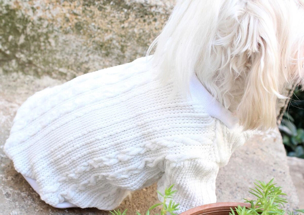 Beyaz Köpek Kazak – Sıcak Tutan Şık Kışlık Köpek Kiyafeti