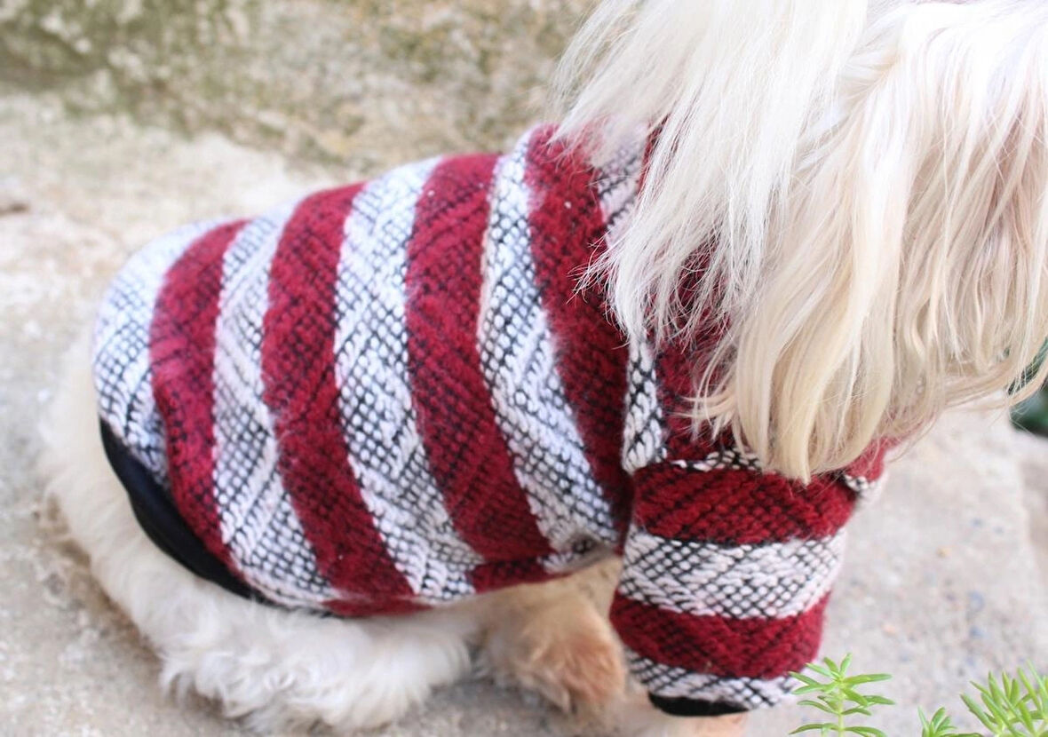 Bordo Köpek Kazak – Sıcak Tutan Şık Kışlık Köpek Kiyafeti