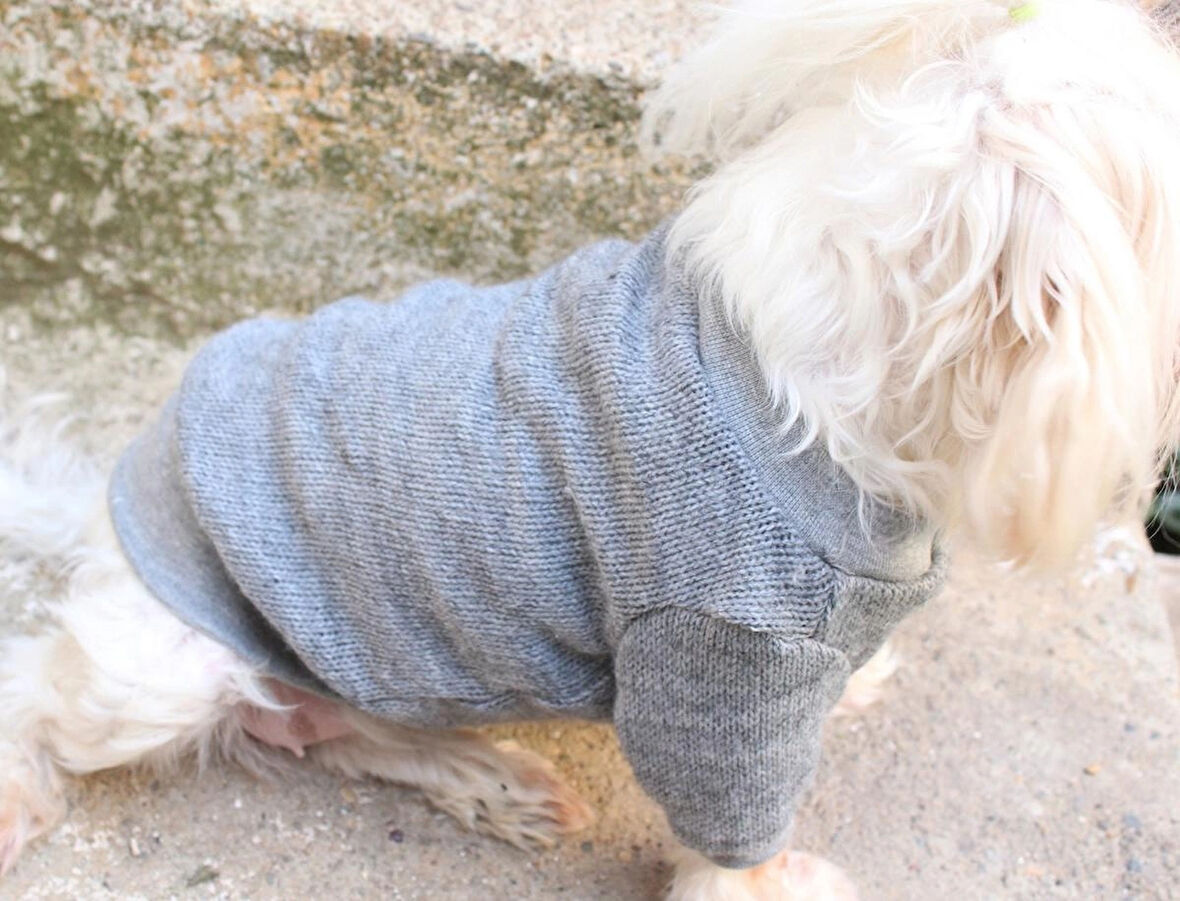 Gri  Köpek Kazak – Sıcak Tutan Şık Kışlık Köpek Kiyafeti