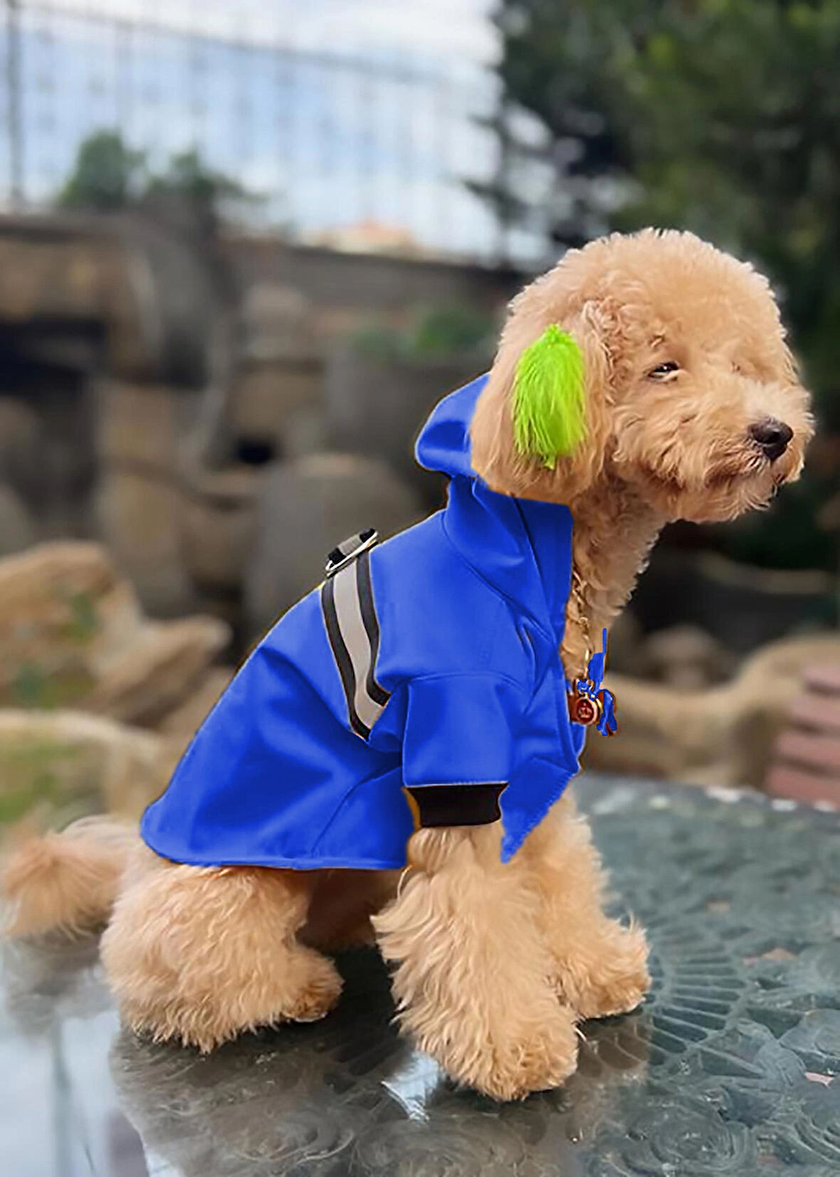 Su Geçirmez Lacivert Köpek Yağmurluğu