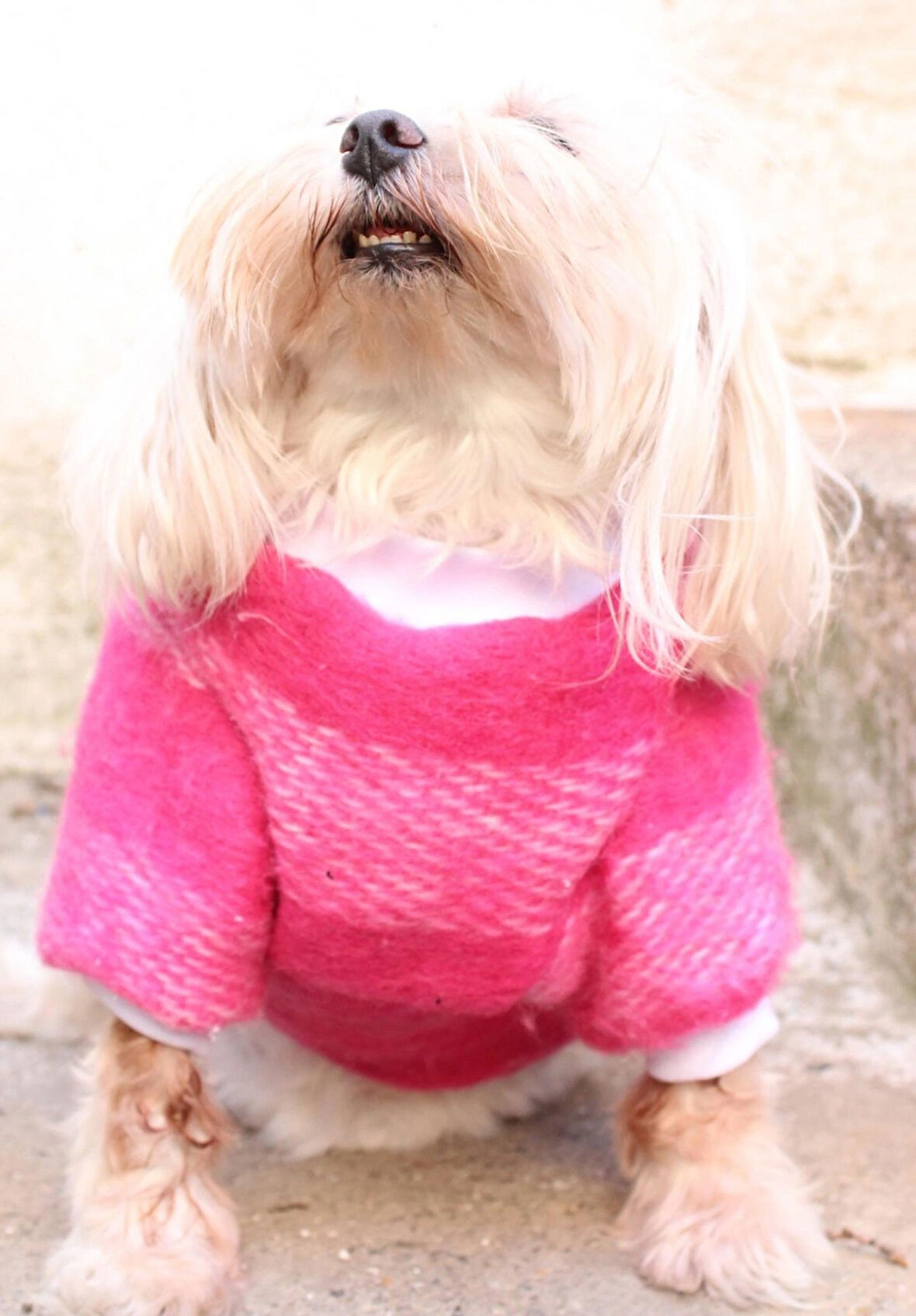 Pembe Tuylu Köpek Kazak – Sıcak Tutan Şık Kışlık Köpek Kiyafeti