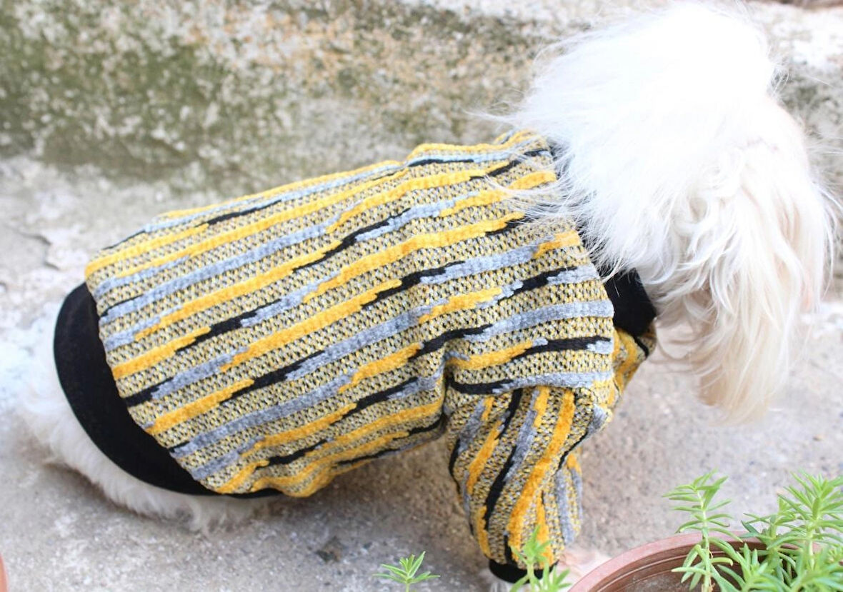 SARI Köpek Kazak – Sıcak Tutan Şık Kışlık Köpek Kiyafeti