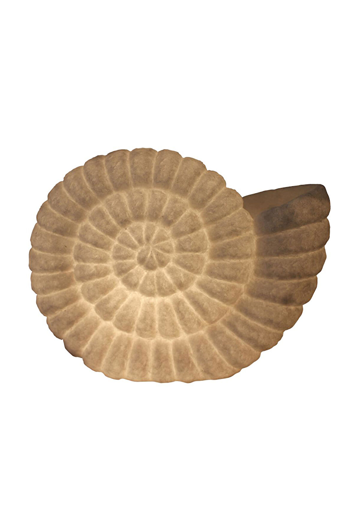 Lumienza Polyester Salyangoz Masa Lambası GLR-19S0011LW