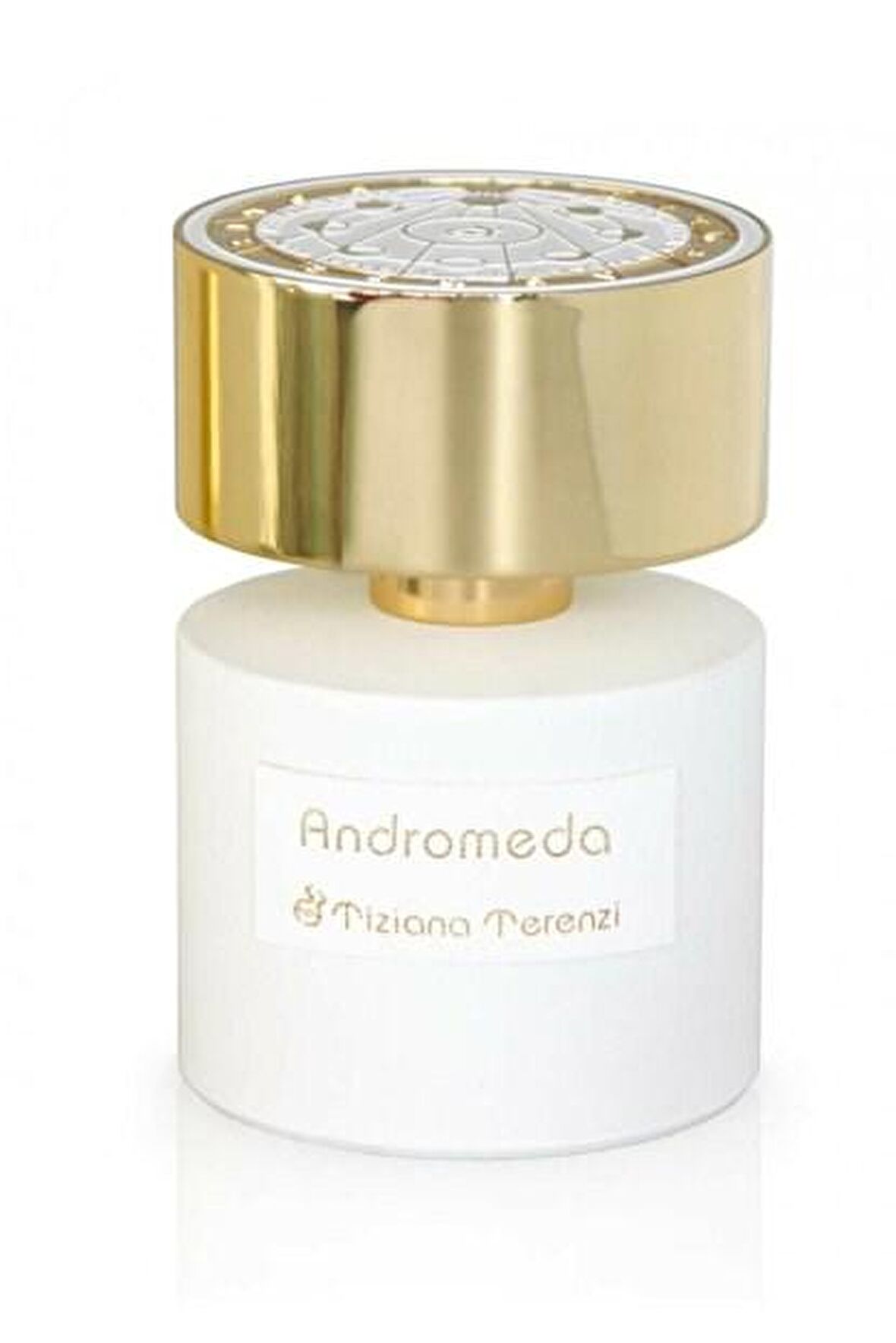 Andromeda Tiziana Terenzi EDP Baharatli Erkek Parfüm 100 ml  