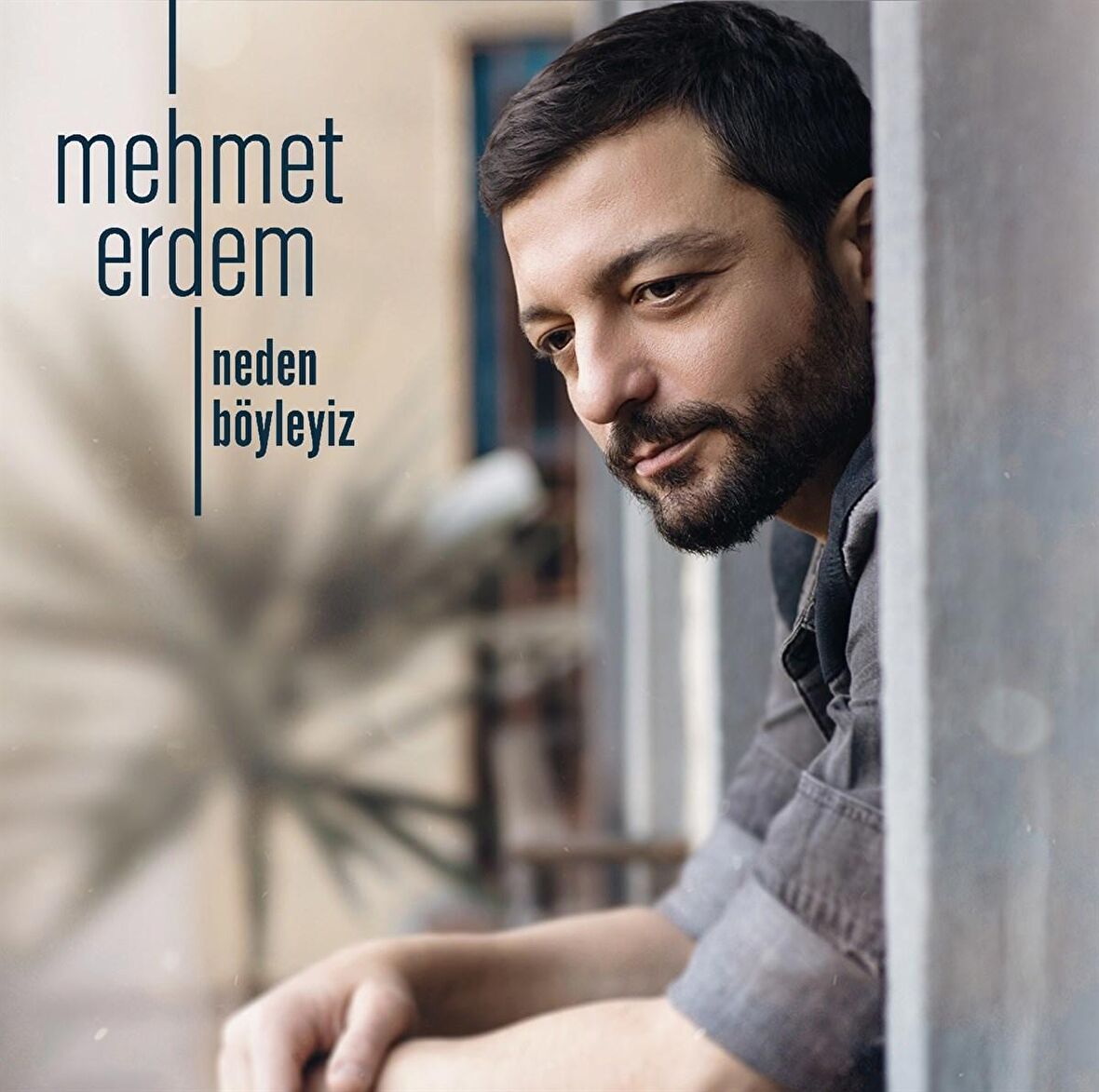 Mehmet Erdem - Neden Böyleyiz (Transparan Buz Renk li Plak) 