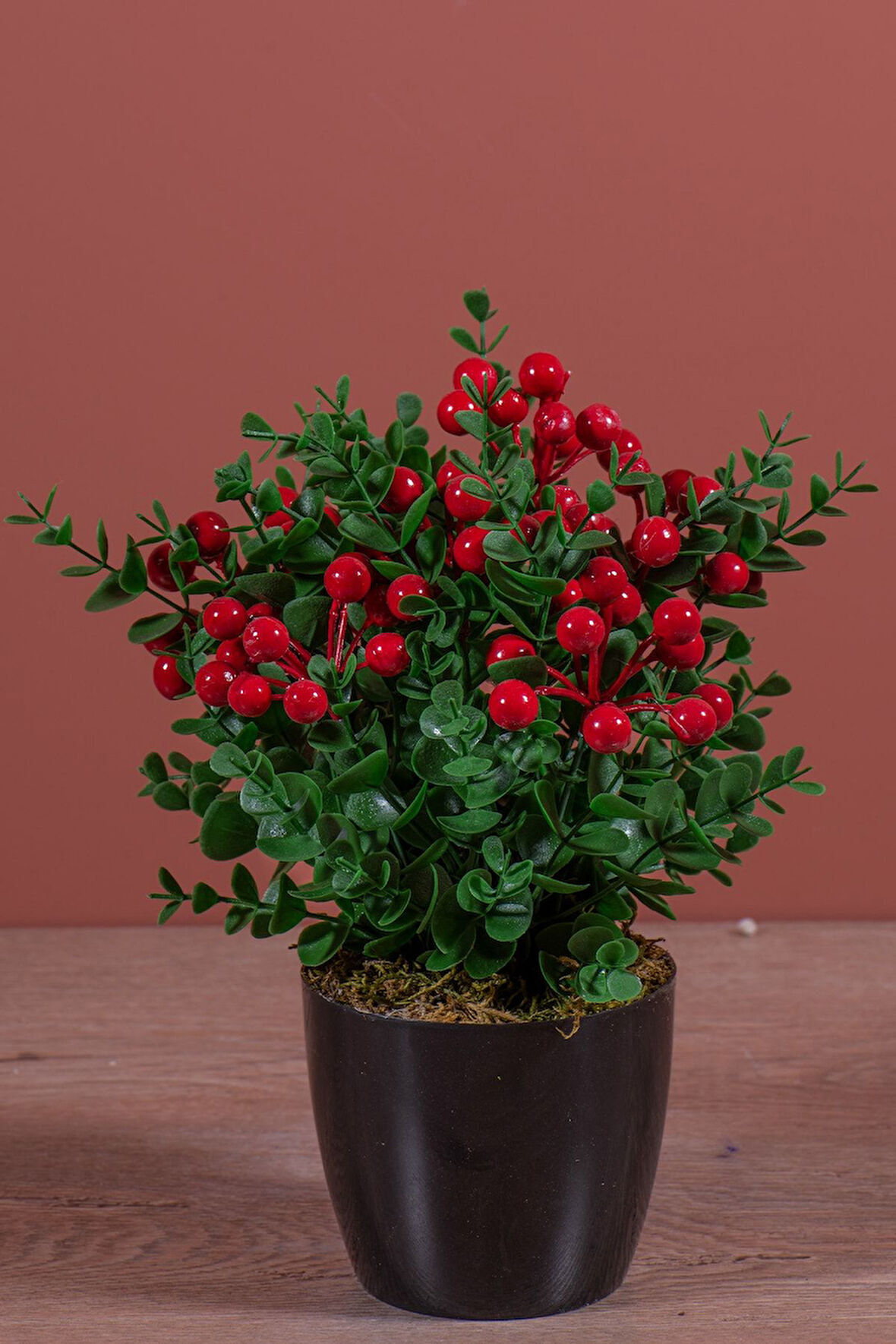 Siyah Saksıda Yapay Kokina Ağacı