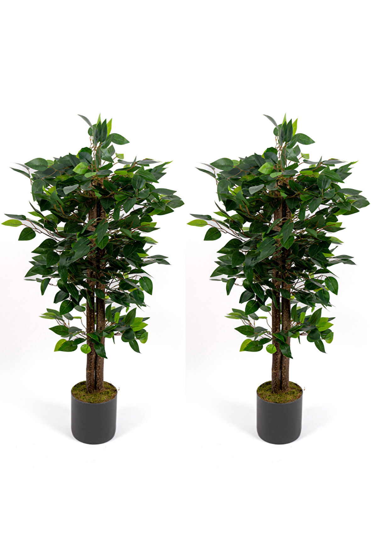 2’li Yapay Benjamin Ağacı Seti – 100 cm Gri Saksılı Dekoratif Salon & Ofis Bitkisi