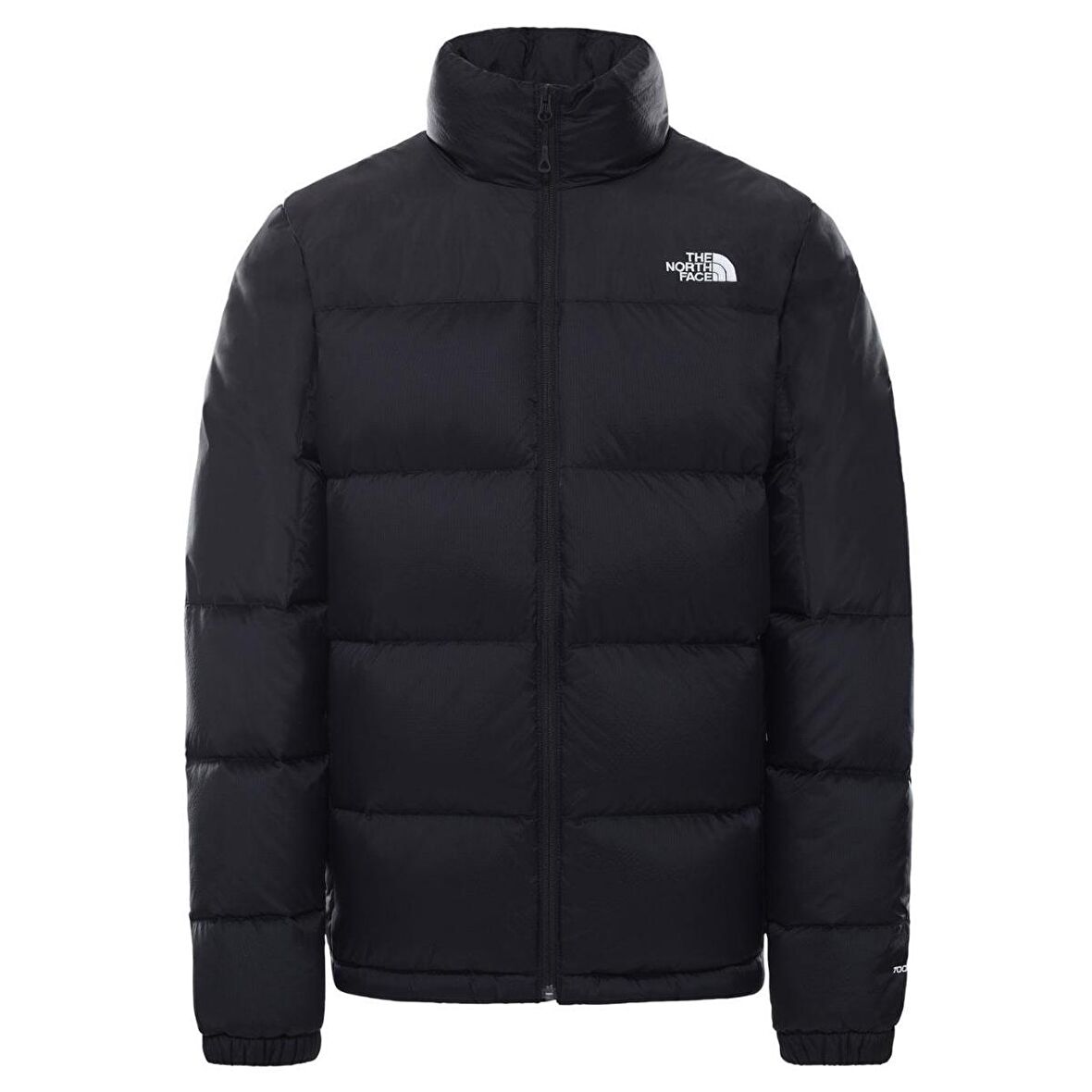 The Northface Erkek DIABLO DWN Ceket  NF0A4M9JKX71