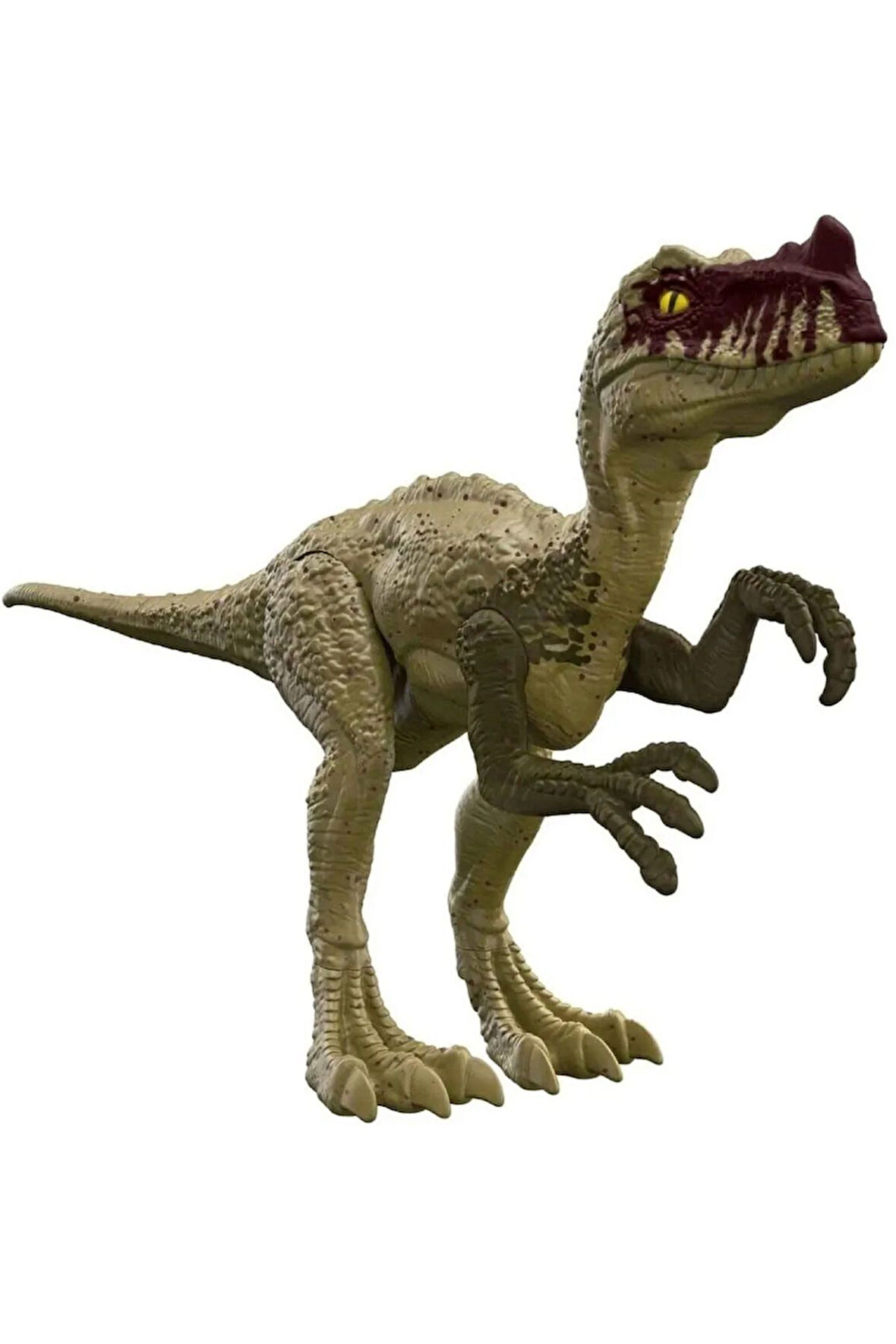 Proceratosaurus Büyük Boy 30cm Orijinal Lisanslı Oyuncak Dinozor Figür Mattel Jurassic World Eklemli