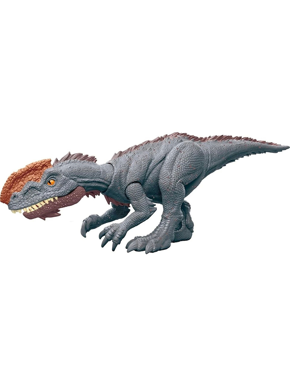 Monolophosaurus HLN63-HTK64