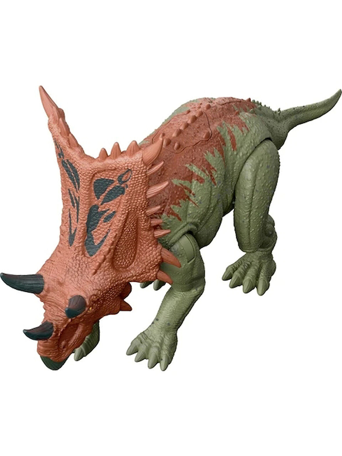 Chasmosaurus HLN63-HTK67