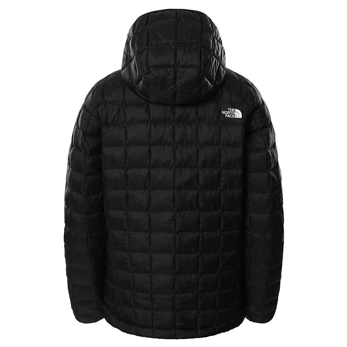 The Northface Kadın  TBALL ECO HDIE NF0A5GLCJK31