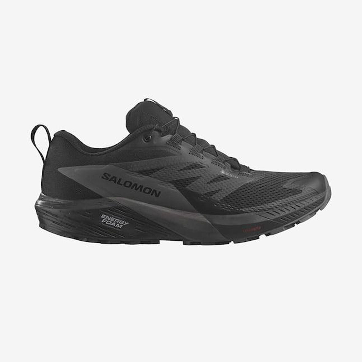 Salomon Sense Ride 5 Gtx Erkek Koşu Ayakkabısı