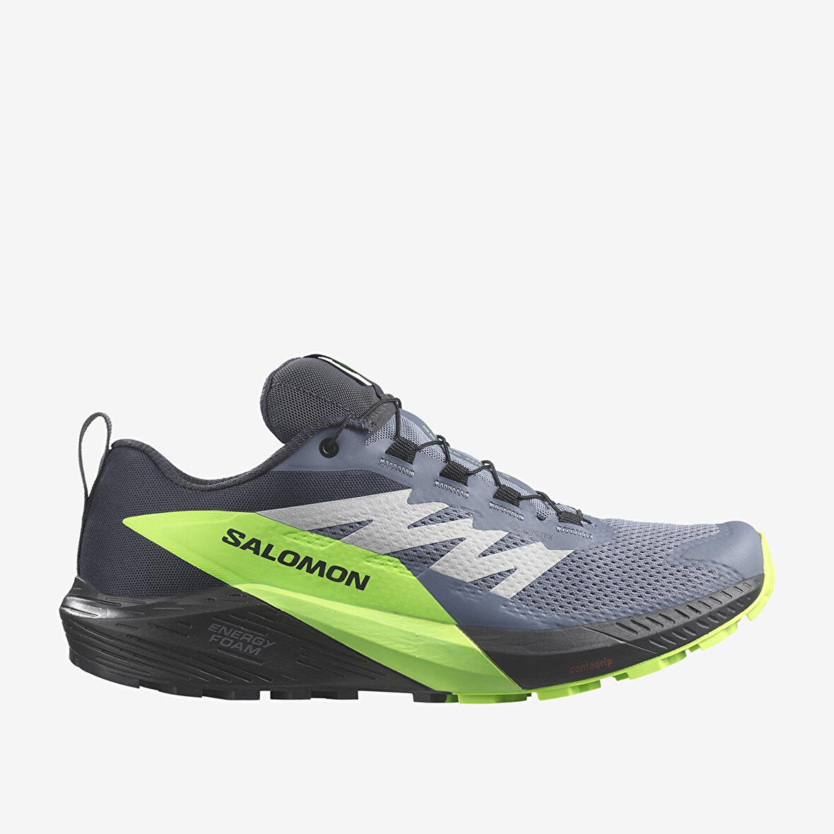 Salomon Erkek Patika Koşusu Ayakkabısı Sense Ride 5 Goretex