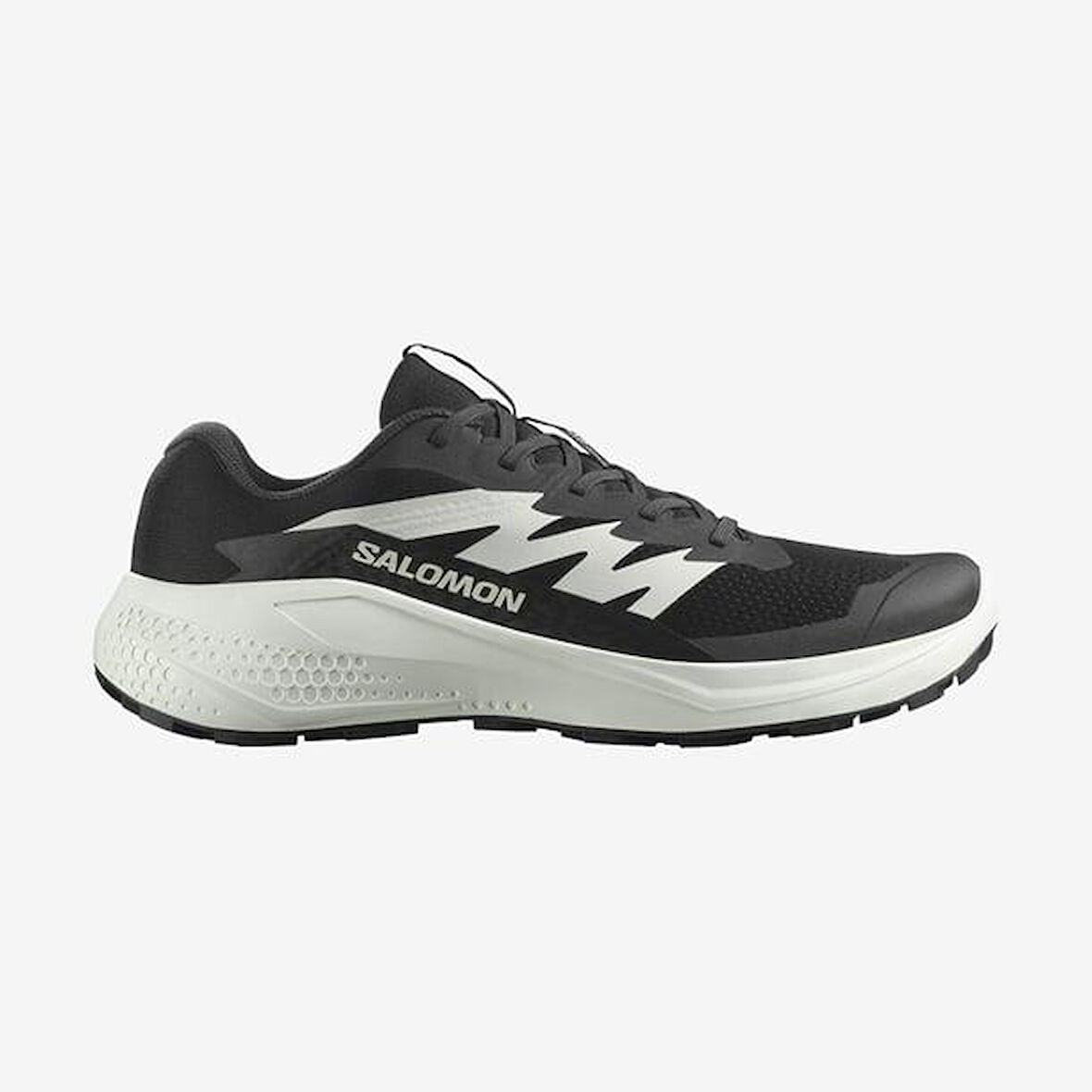 Salomon Alphaglıde Erkek Outdoor Ayakkabısı L47801000