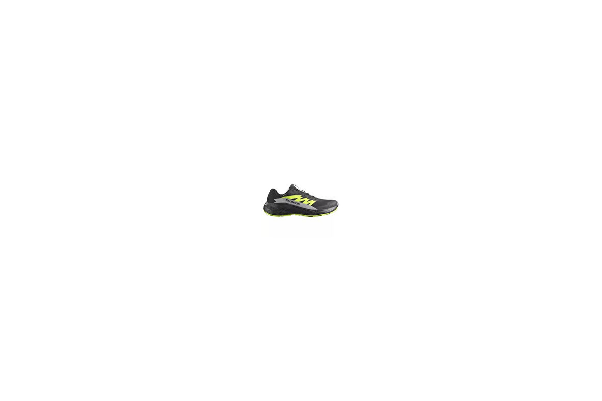 Salomon Alphaglıde Gore-tex Black/alloy/sharp Green Erk Patika Koşusu Ayakkabısı L47802000