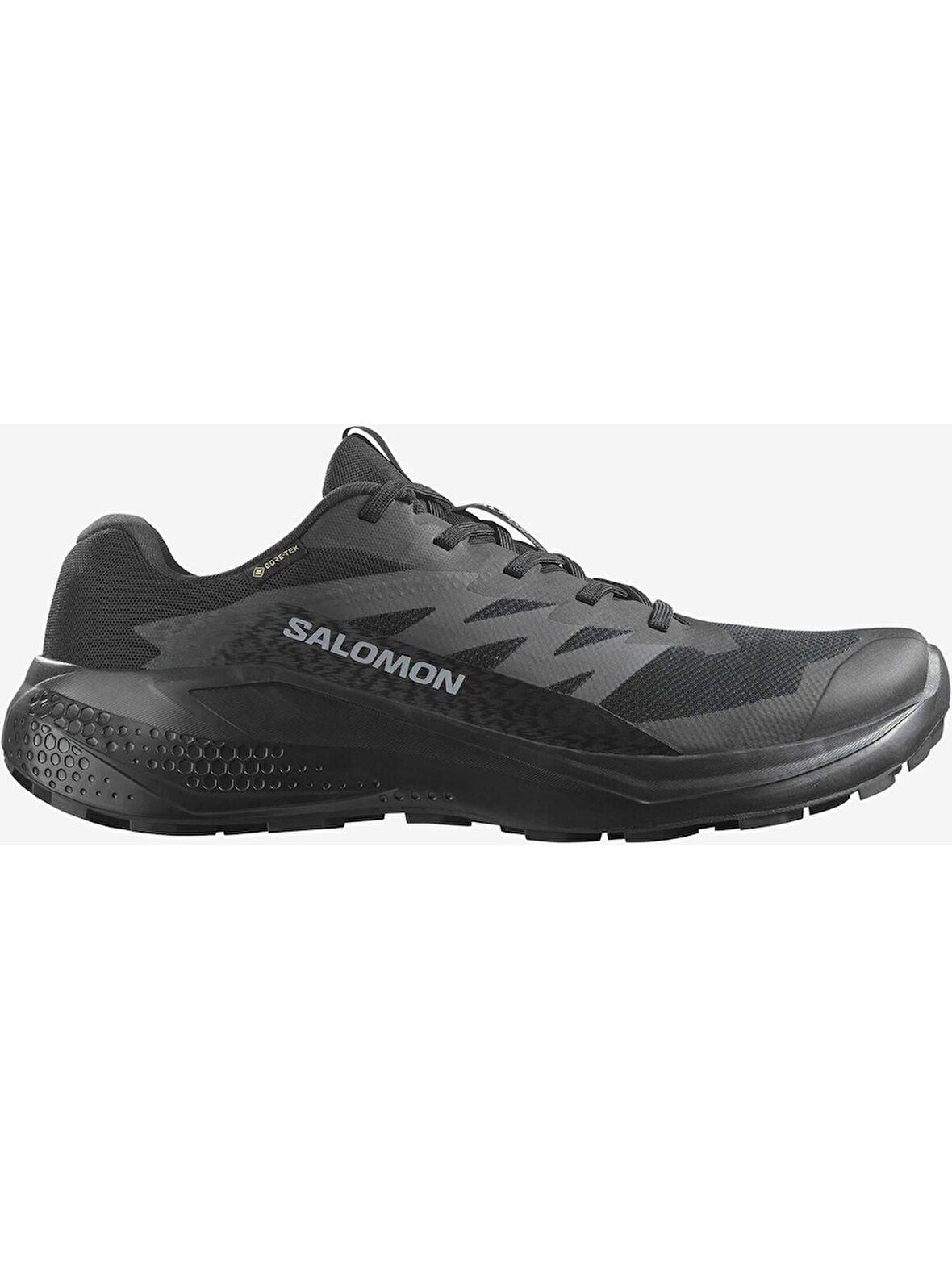 Salomon Alphaglıde Gore-tex Black/asphalt/black Erk Patika Koşusu Ayakkabısı L47802100