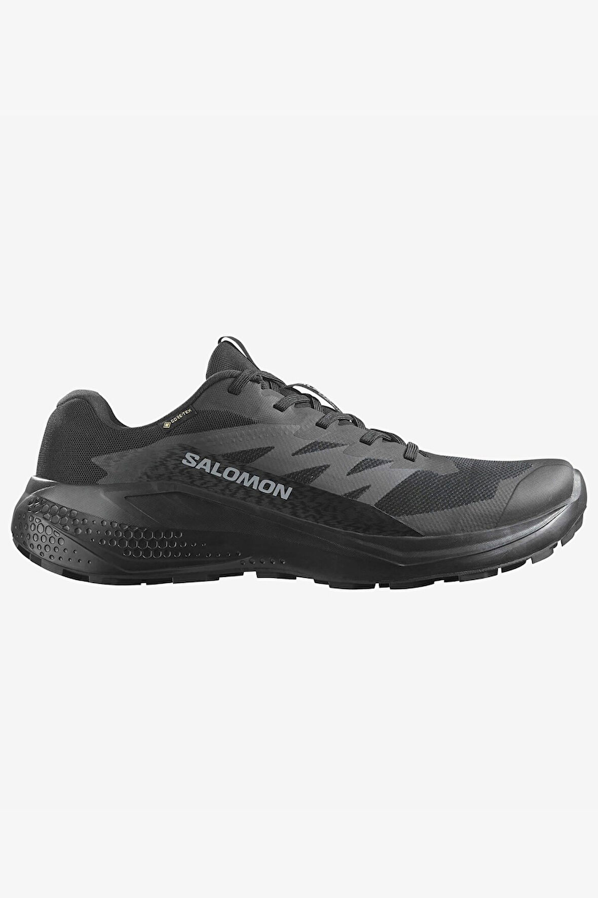 Salomon Alphaglıde Gore-Tex Erkek Patika Koşusu Ayakkabısı