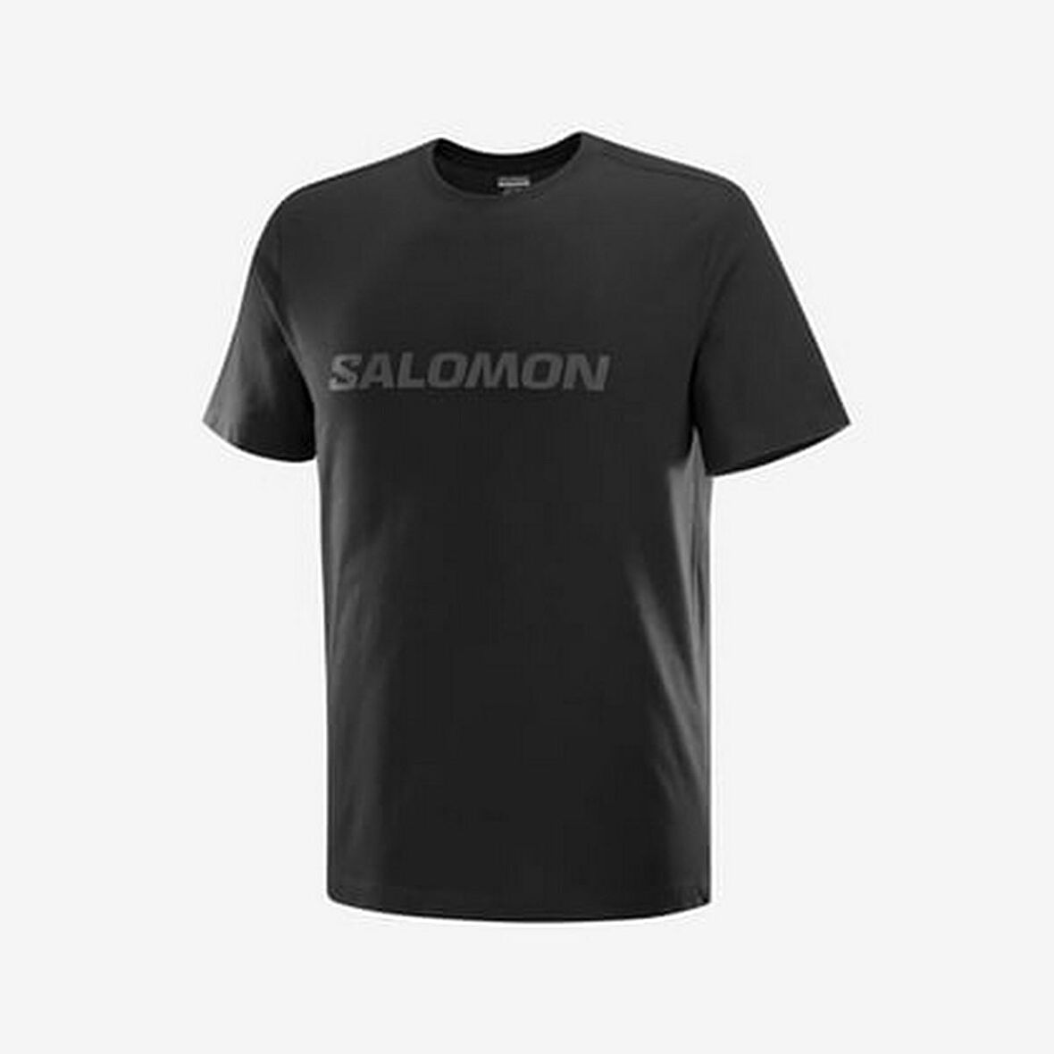 Salomon LC2526600 Big Logo Tee M Erkek Spor Tişört
