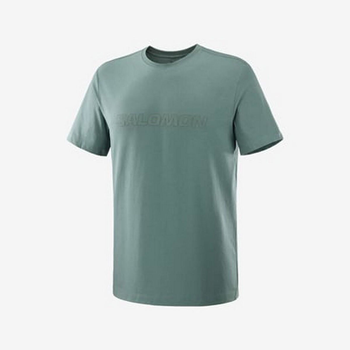 Salomon LC2526700 Big Logo Tee M Erkek Spor Tişört