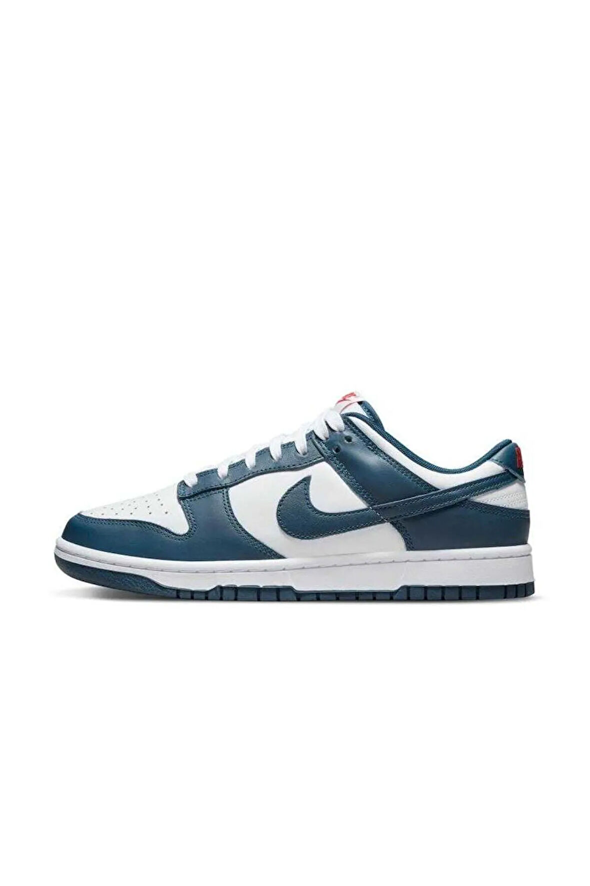 Dunk Low Retro Erkek Sneaker Ayakkabı Dd1391-400