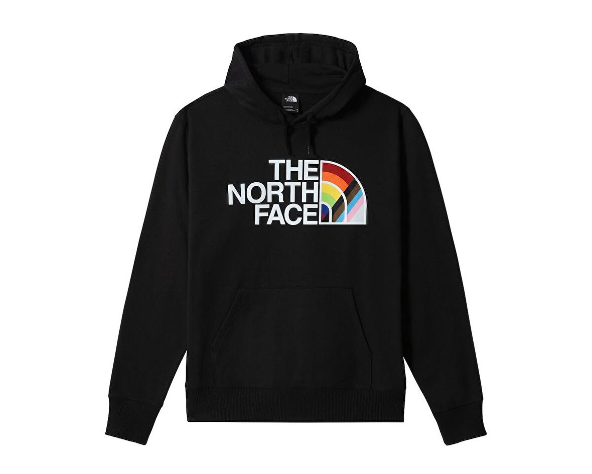 M Pullover Hoodie Erkek Outdoor Sweatshirts NF0A7QCKJK31 Siyah