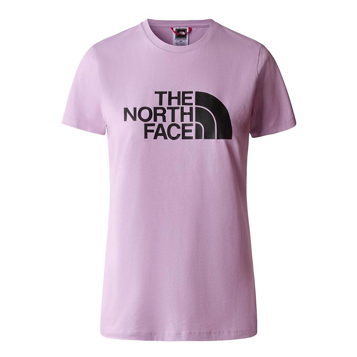 W S/S EASY TEE Kadın T-Shirt NF0A4T1QHCP1