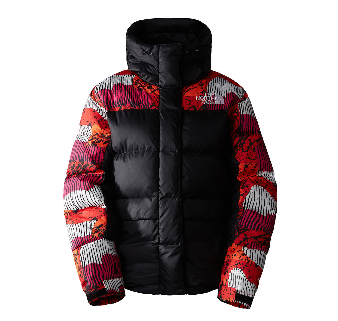 F0A4R2WOT21-R The North Face W Hmlyn Down Parka Kadın Mont Siyah
