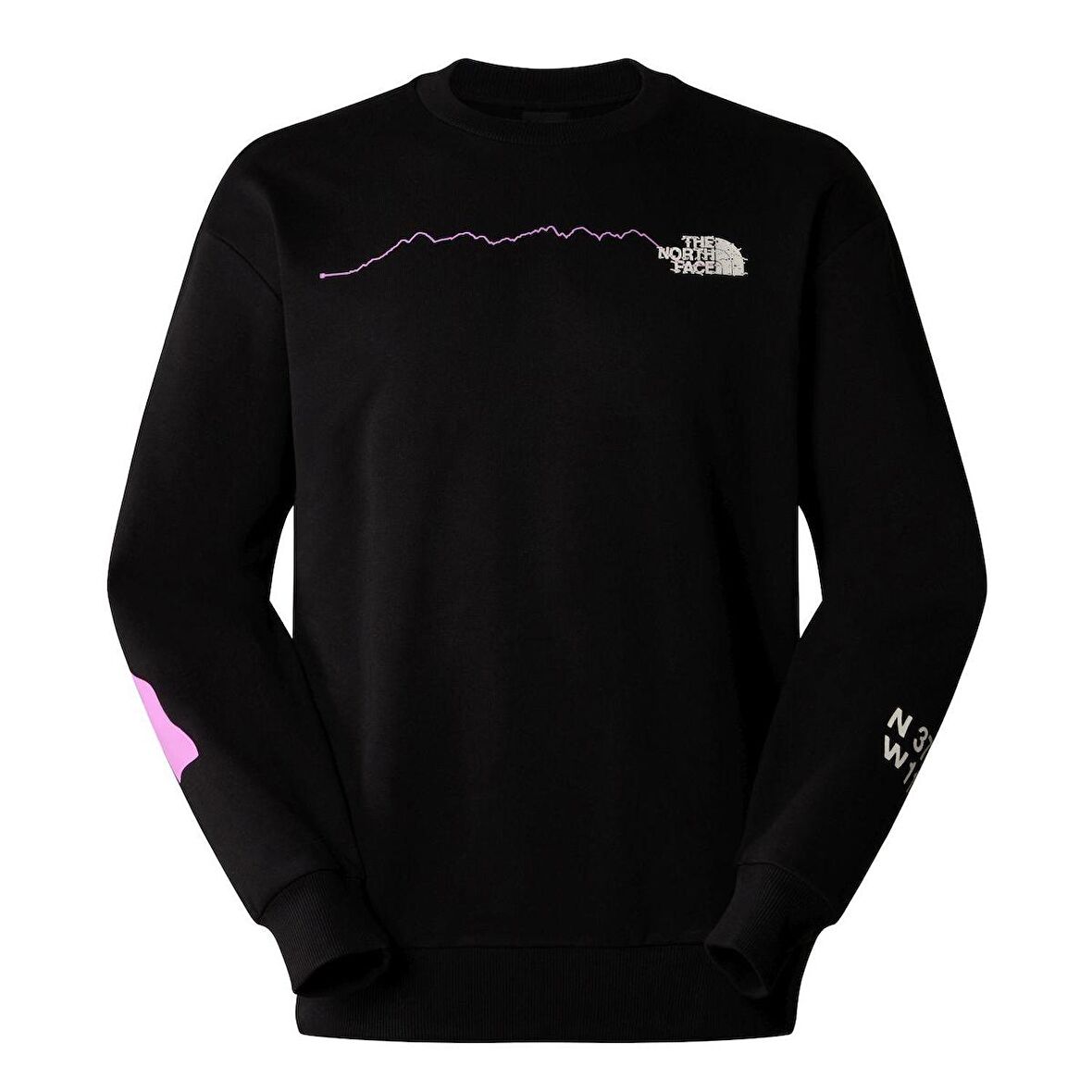 The North Face U NSE GRAPHIC CREW Erkek Sweat Shirt NF0A87F4JK31