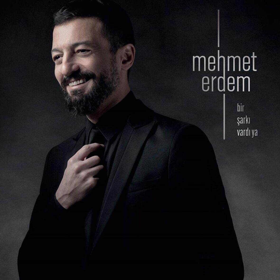 Mehmet Erdem - Bir Şarkı Vardı Ya (Plak)  