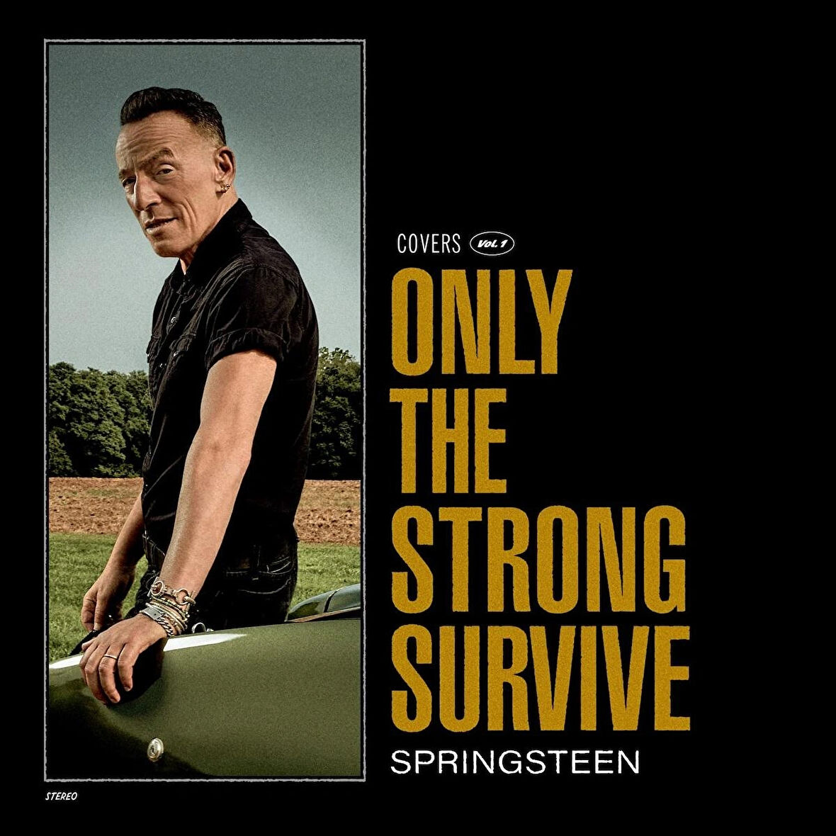 Bruce Springsteen Only The Strong Survive (Orange Vinyl) - Plak