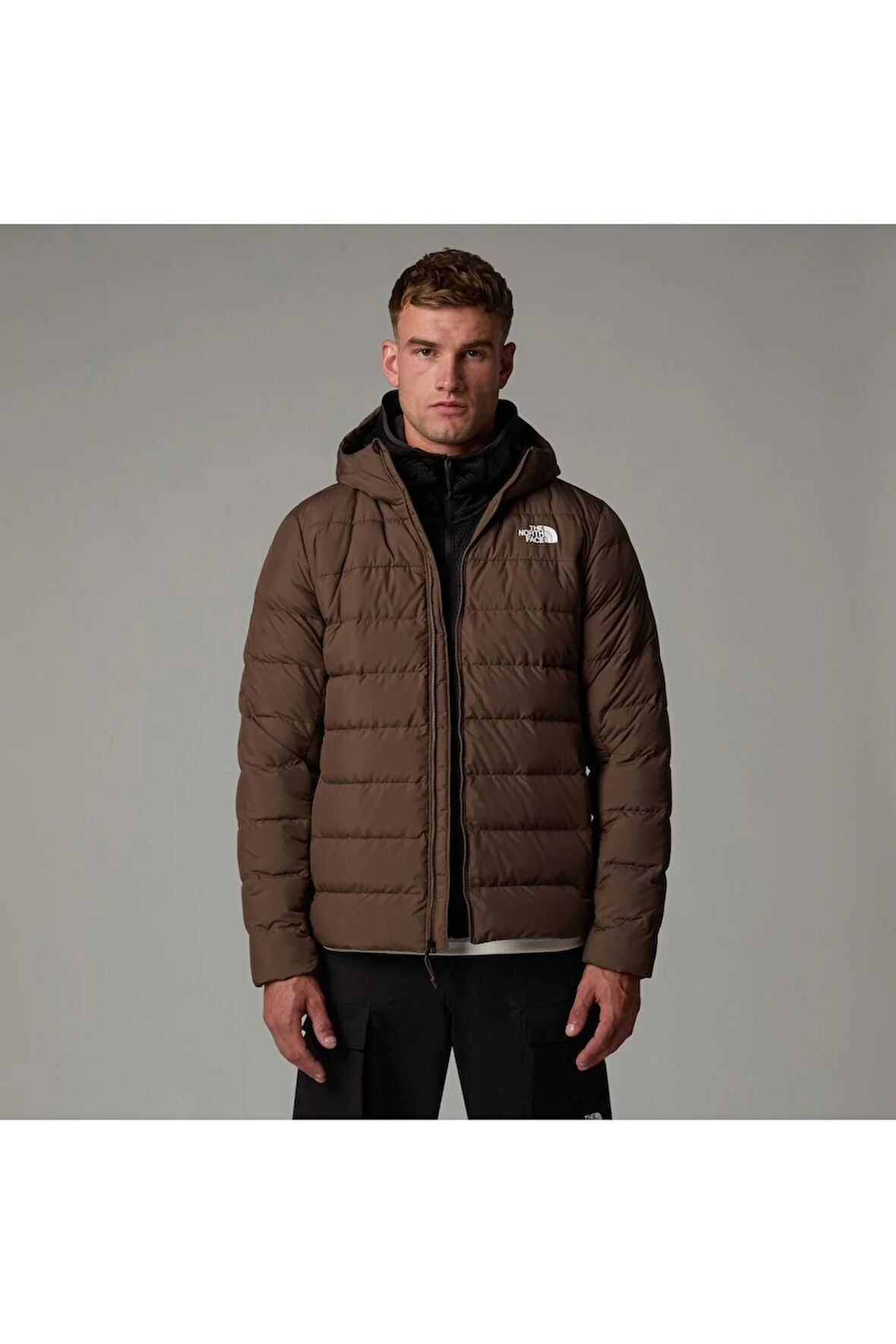 M Aconcagua 3 Hoodıe Erkek Kahverengi Mont Nf0a84i11oi1