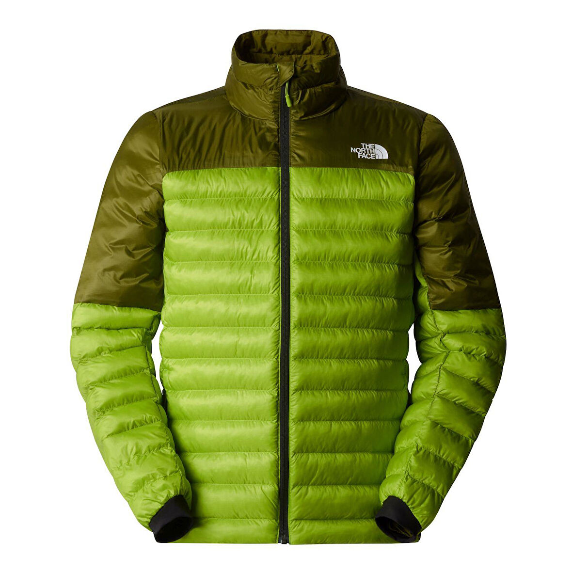 Erkek TERRA PEAK CEKET NF0A88U25QI1