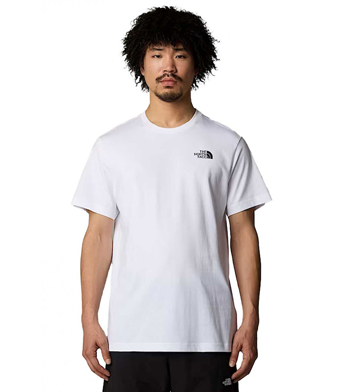 The North Face M Vertical Ss Tee Erkek T-Shirt