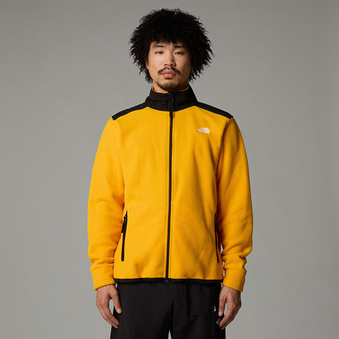 The North Face M Alpine Polartec 200 Fz Jacket Erkek Polar Ceket