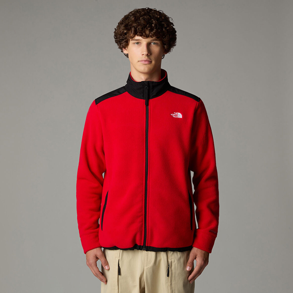 The North Face M Alpine Polartec 200 Fz Jacket Erkek Polar Ceket