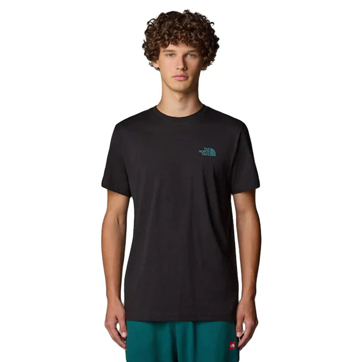 The North Face M Ss Box Nse Tailgrid Infill Tee Erkek T-Shirt