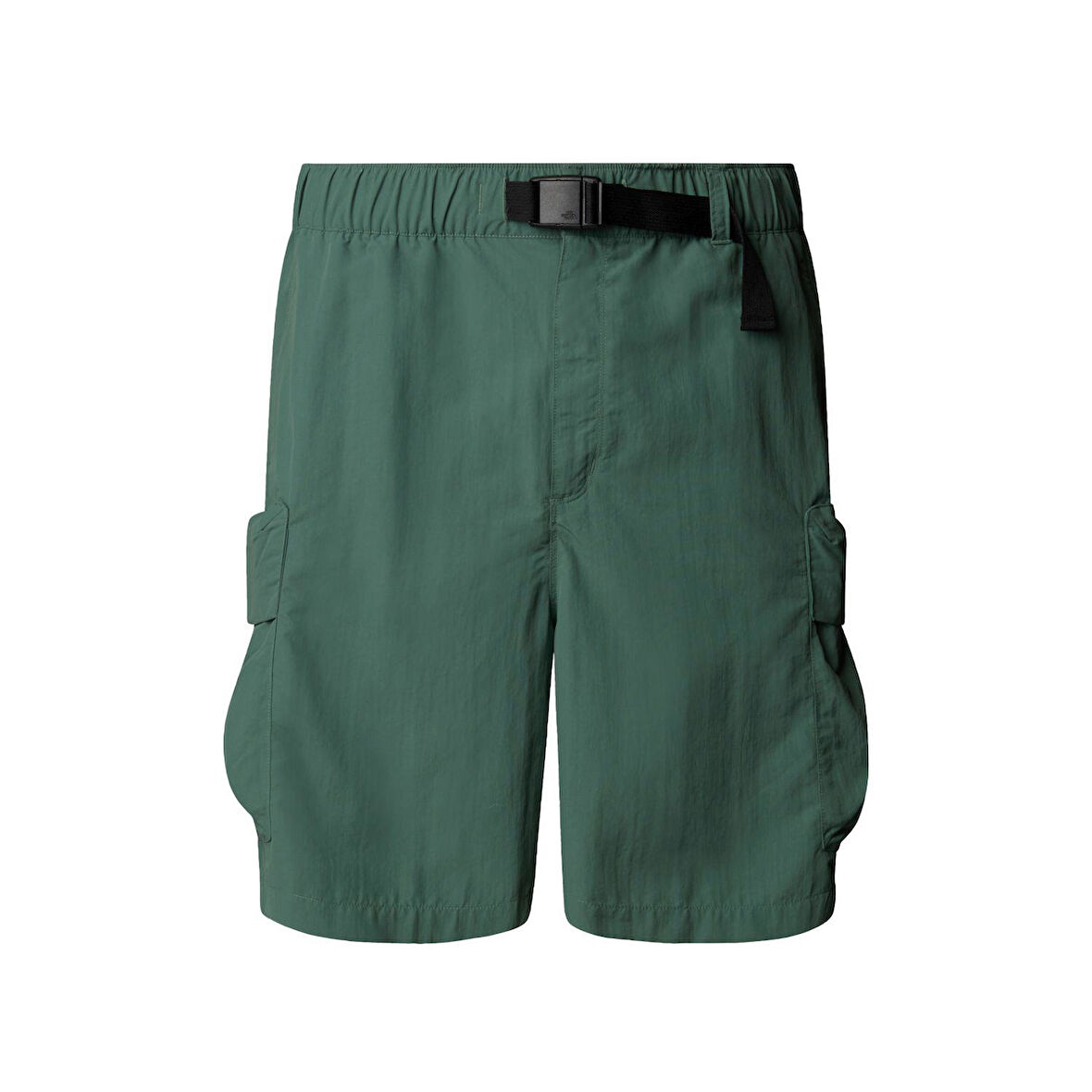 The North Face Erkek CARGO POCKET Şort NF0A8BJGHCH1