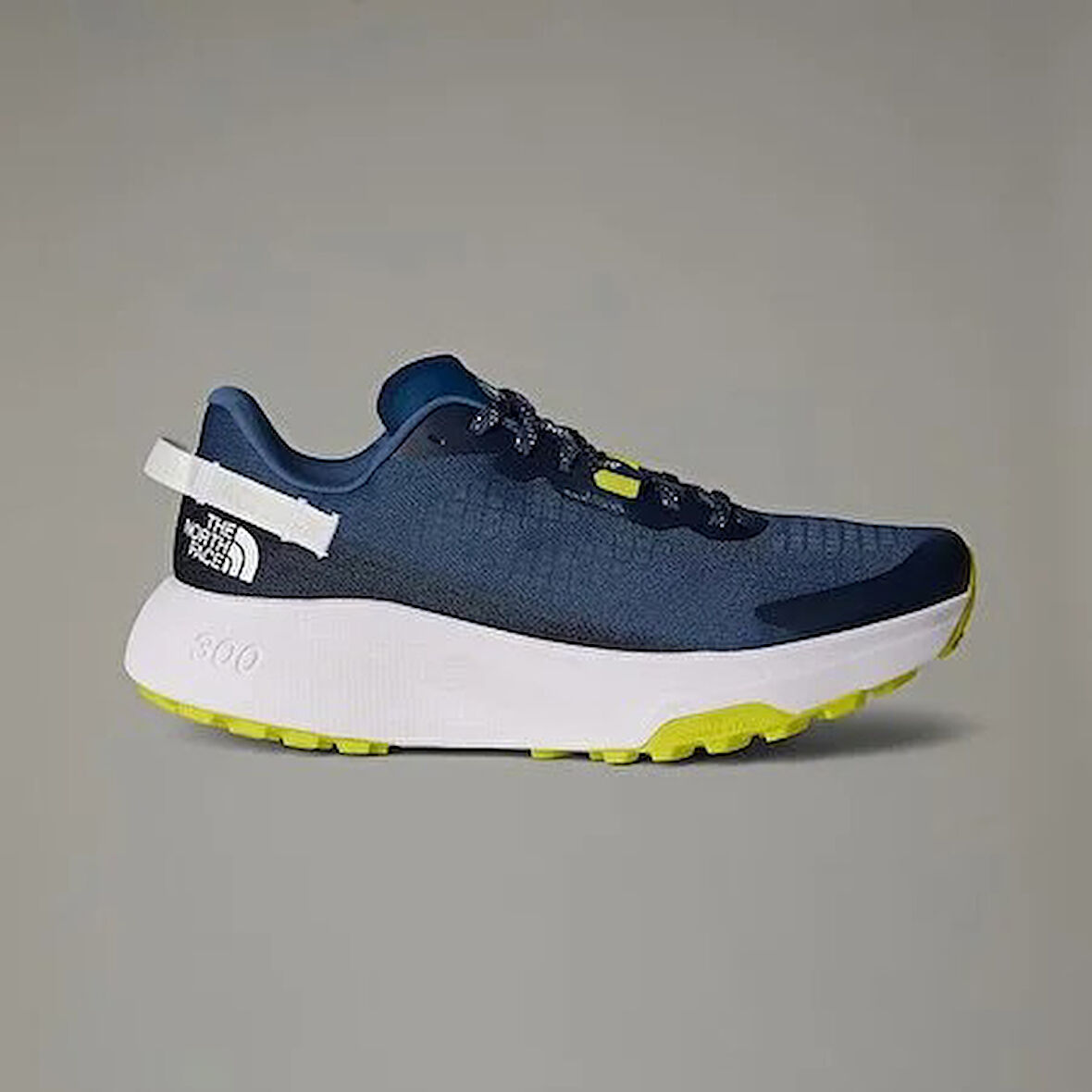 The North Face Altamesa 300 Erkek Koşu Ayakkabısı NF0A8A9R9261