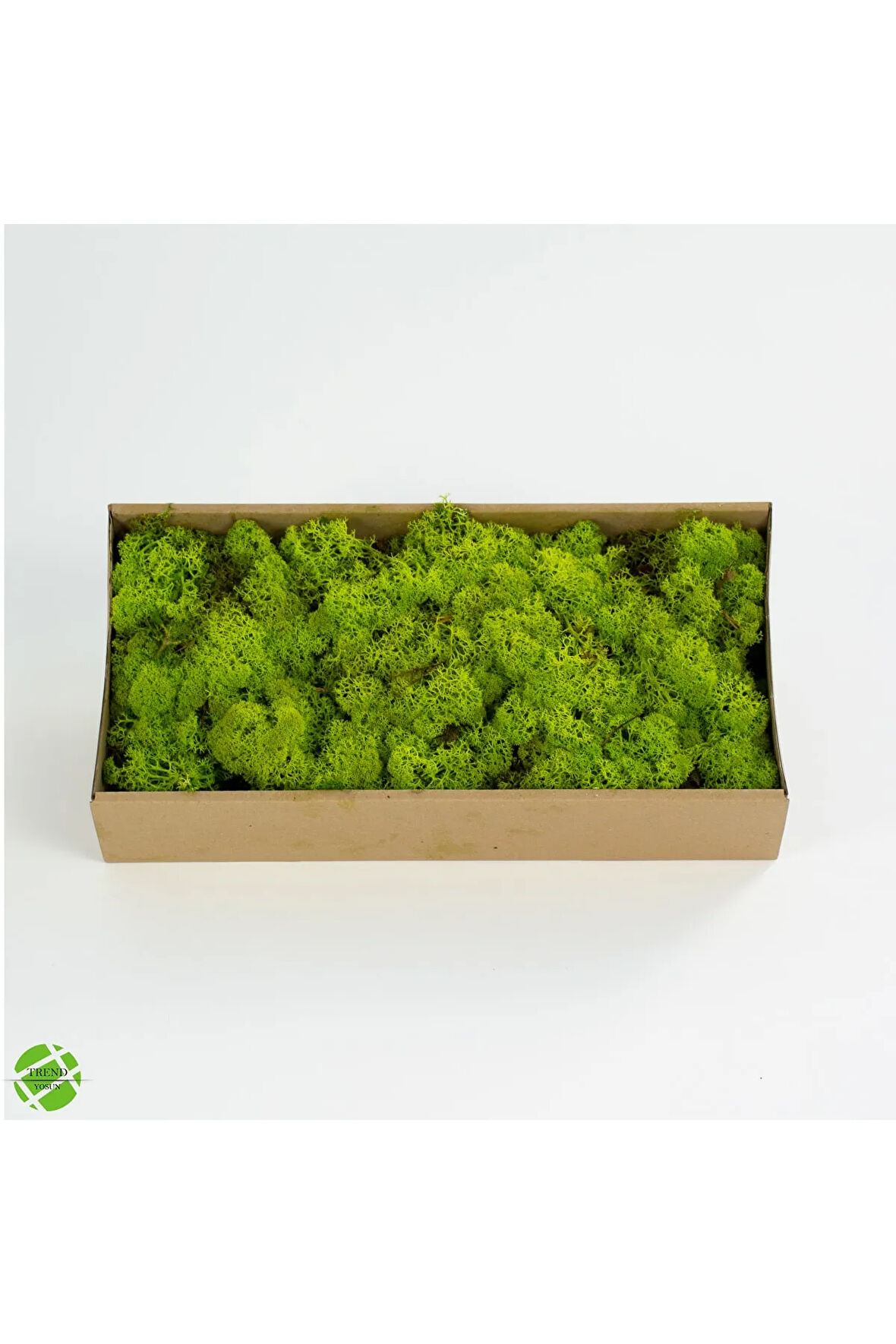 Trendbahce Reindeer Moss Lime Green Şoklanmış Ithal Norveç Yosunu