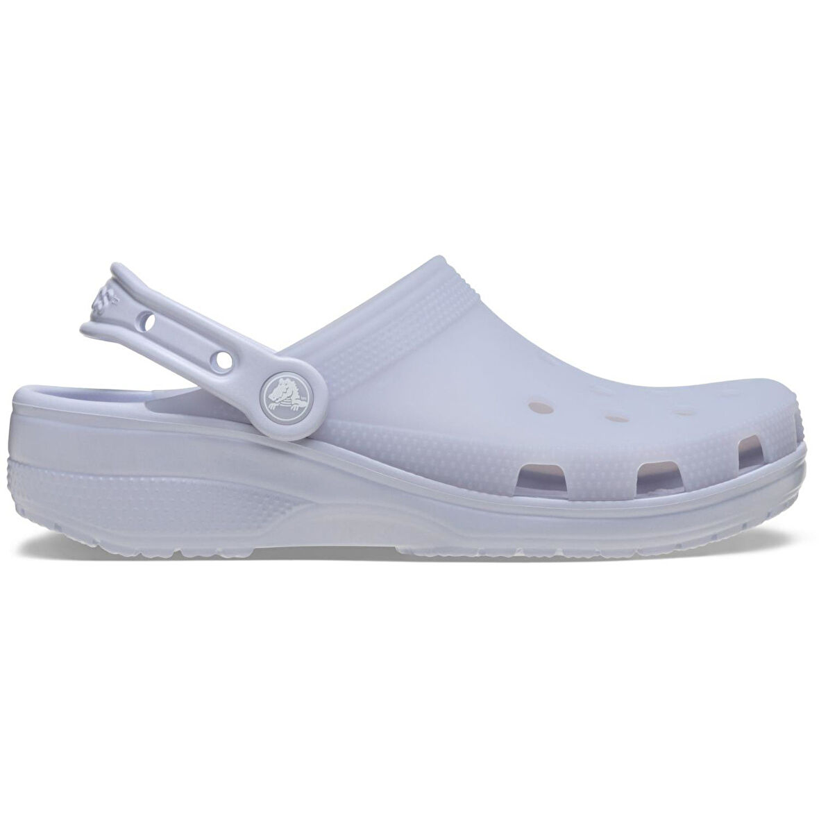 Crocs Classic Frosted Clog Kadın Terlik CR210928-5BR