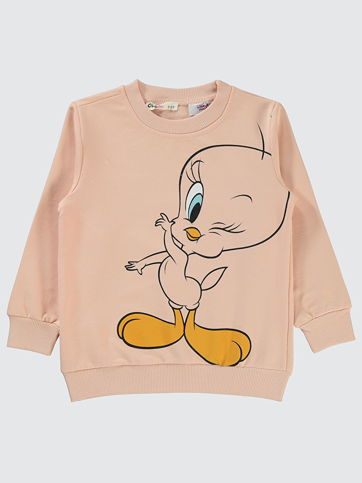 Tweety Kız Çocuk Sweatshirt 2-5 Yaş Pembe Kil