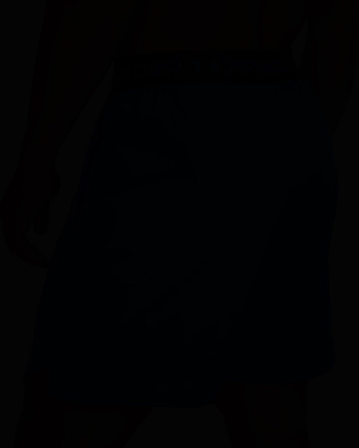 UNDER ARMOUR UA Vanish Woven 6in Shorts ERKEK SORT 1373718-402