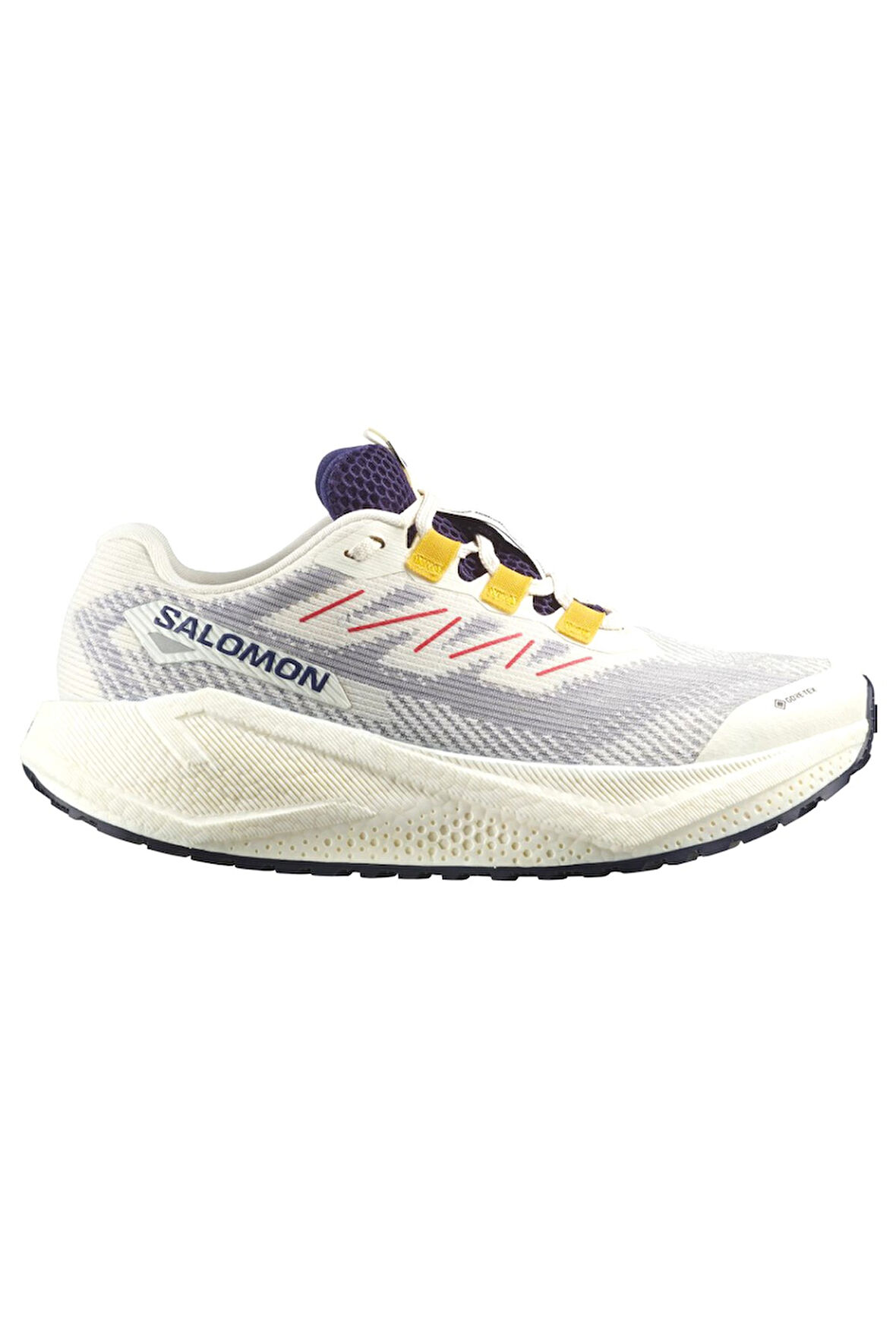 Salomon Aero Blaze 3 Grvl Kadın Gravel Koşu Ayakkabısı