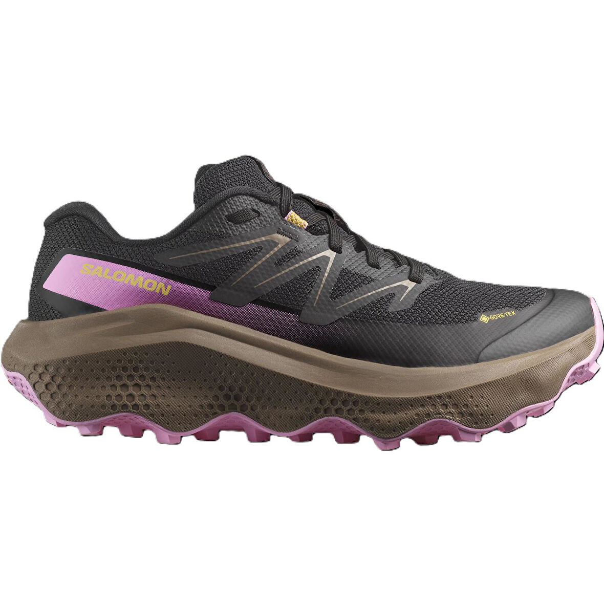 Salomon ULTRA FLOW 2 GTX Kadın Ayakkabısı L47884400