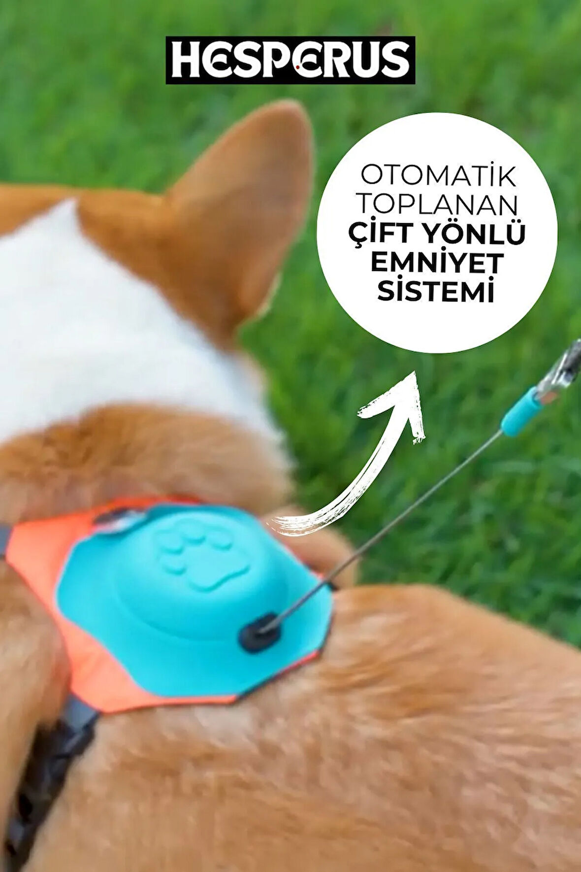 Köpek Tasması Gövdelik Ve Göğüslük Otomatik Toplama Rahat ve Konforlu Yürüyüş Tasma S