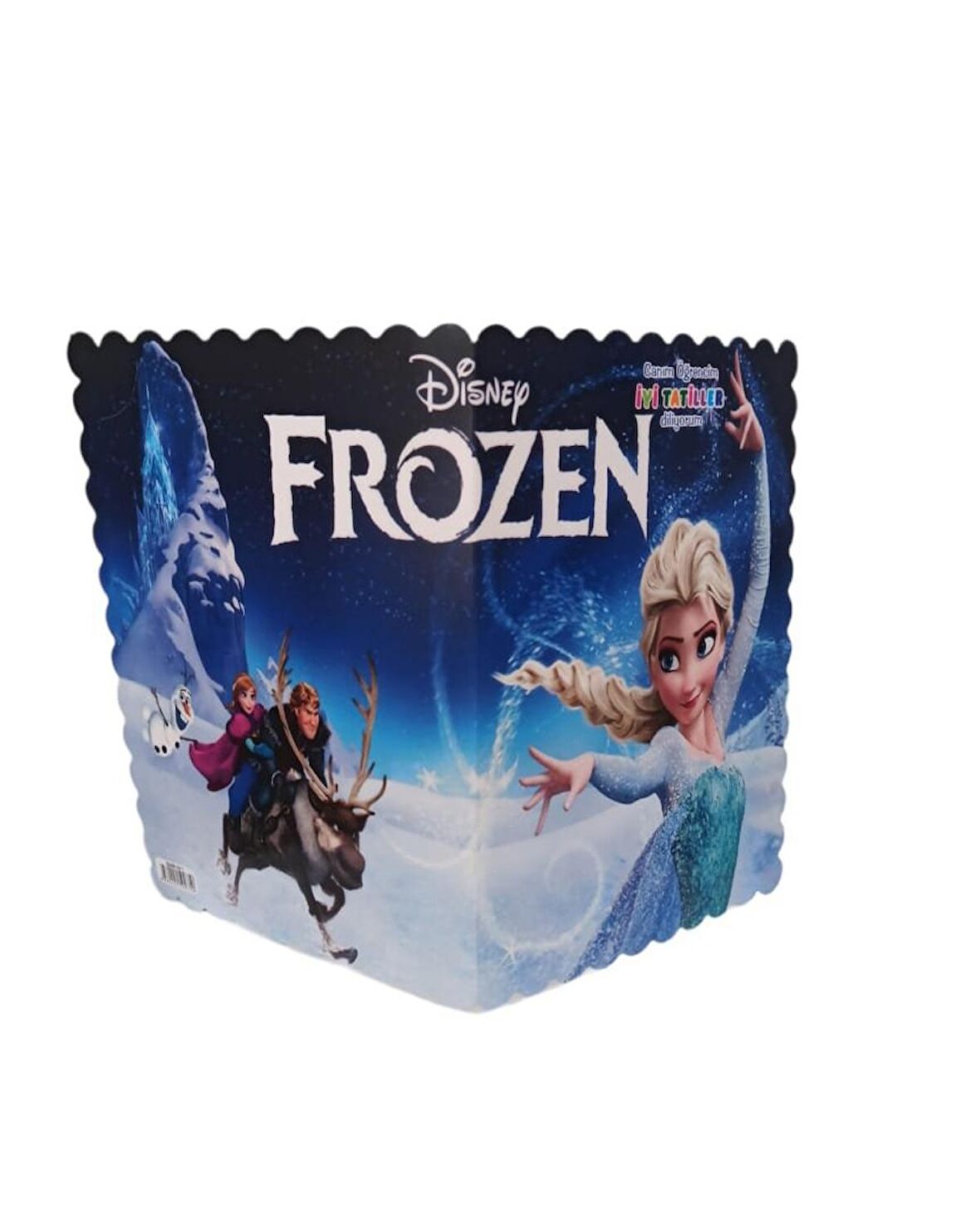 Klasik Karne Kabı Kılıfı 10 Adet (Frozen)