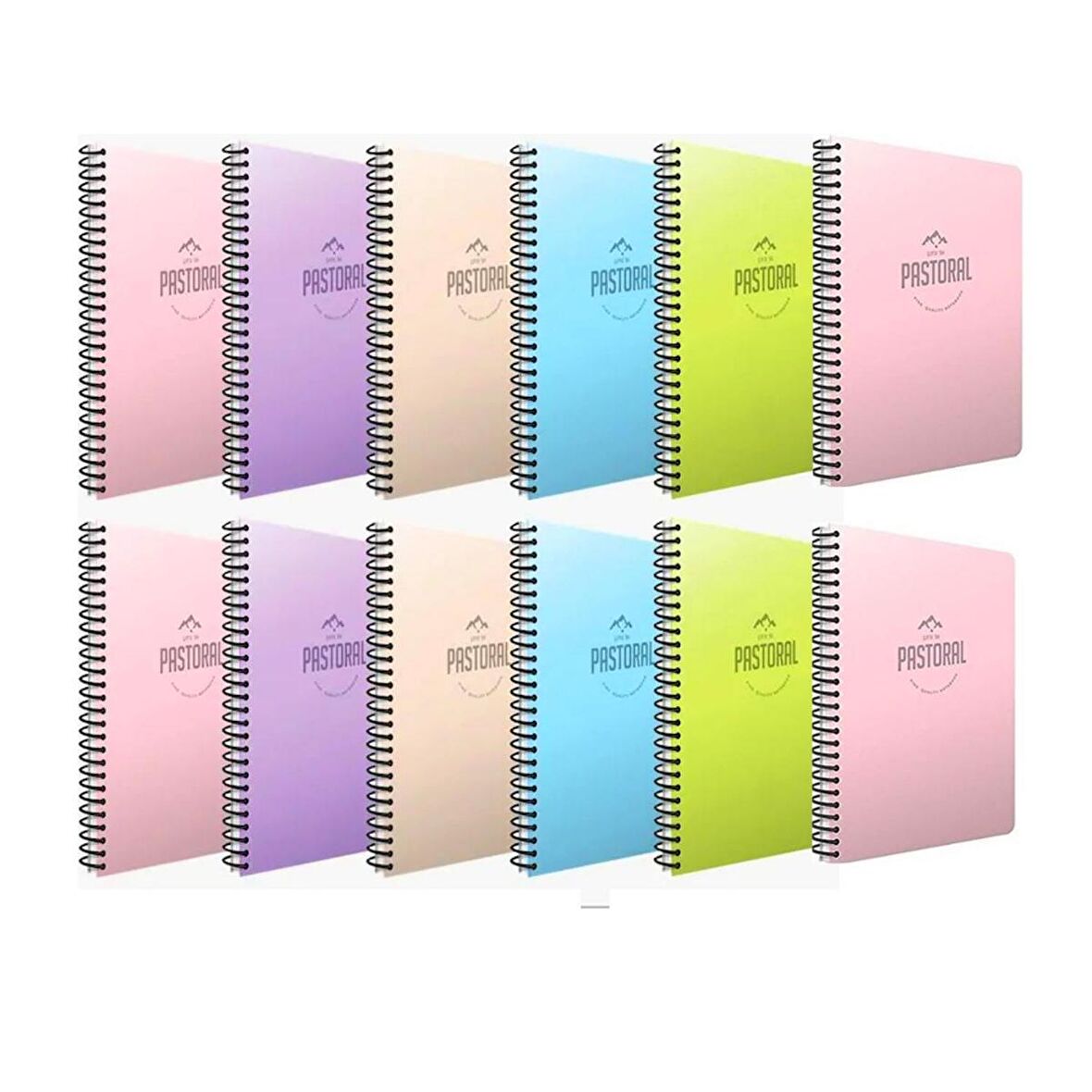 Gıpta Pastoral A4 96 Yaprak Plastik Kapak Spiralli Kareli Defter 12 Adet