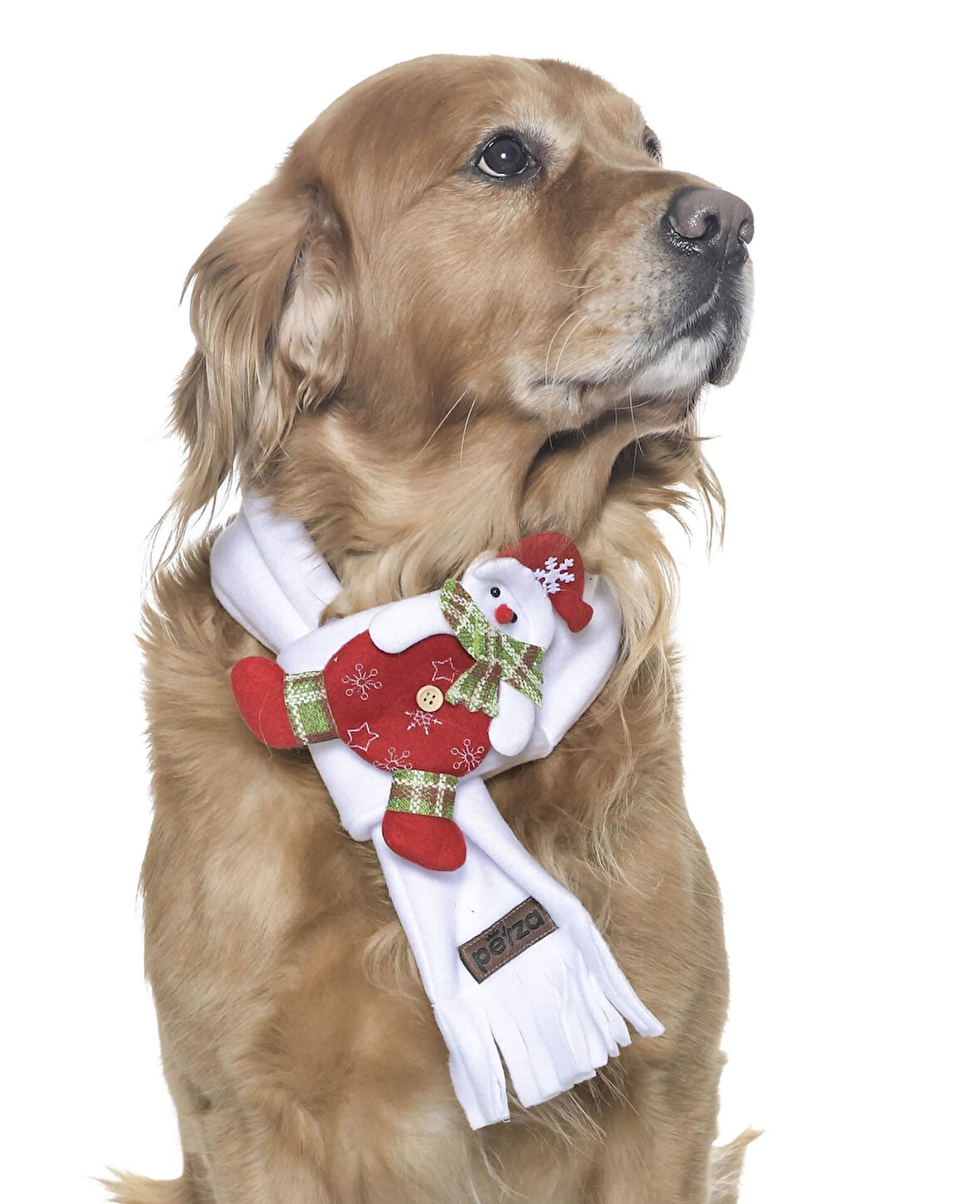 Polar Köpek Atkısı - Putoma