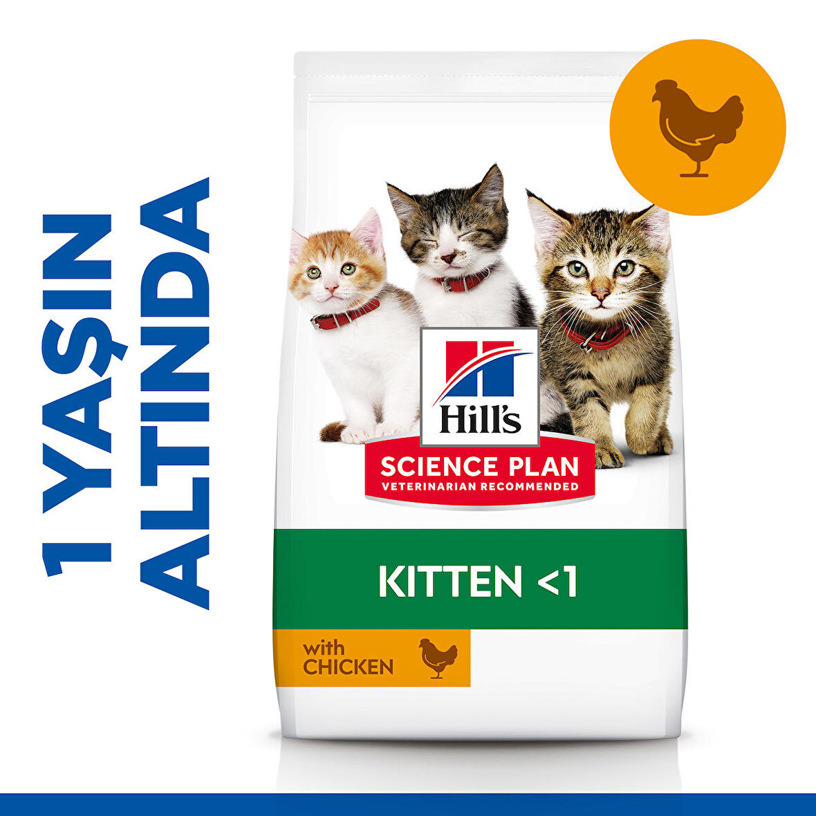 Hill's Kitten Chicken Tavuklu Yavru Kedi Maması 3 kg